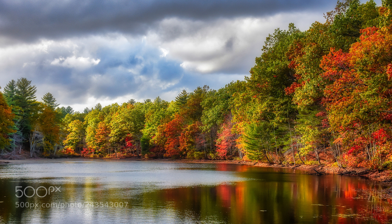 Nikon D7200 sample photo. Autumn at ballard pond photography