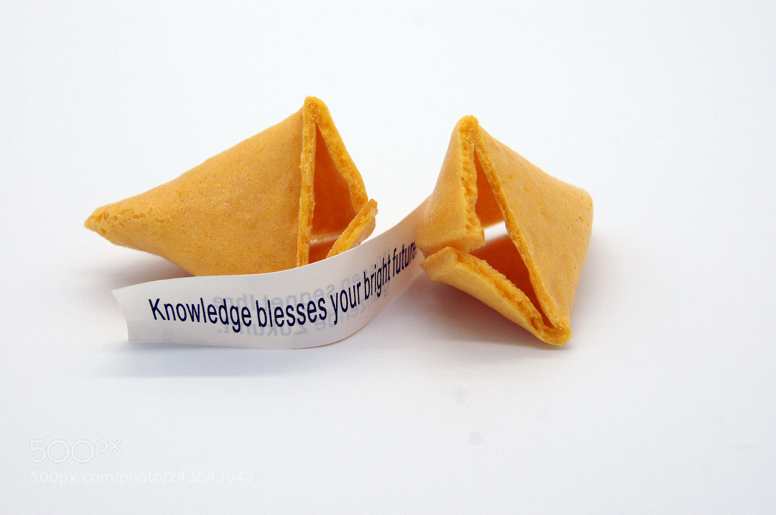 Sony SLT-A55 (SLT-A55V) sample photo. Fortune cookie on white photography