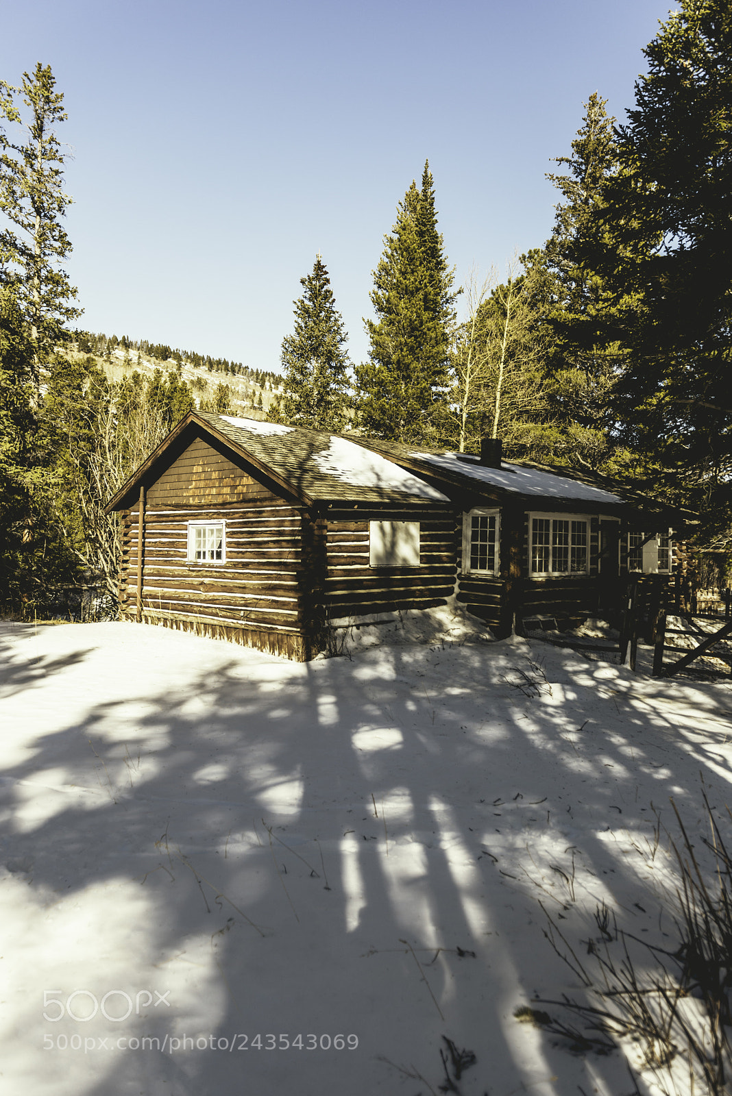 Nikon D610 sample photo. Abandoned cabin in colorado photography