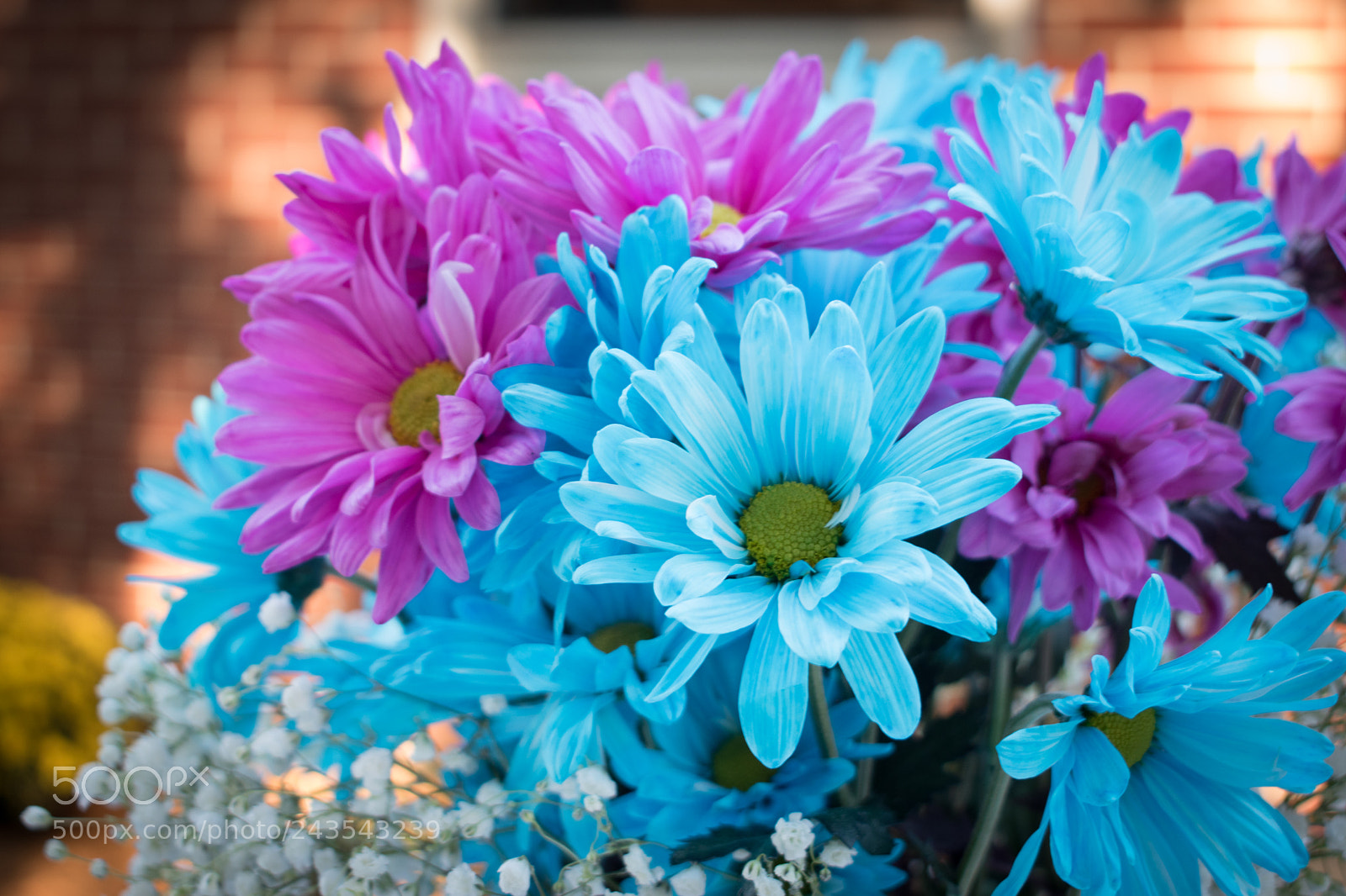 Nikon D5500 sample photo. Gender reveal party (of ) photography