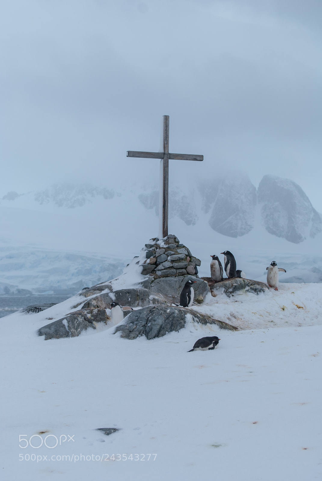 Nikon D40X sample photo. British antarctic survey memorial photography
