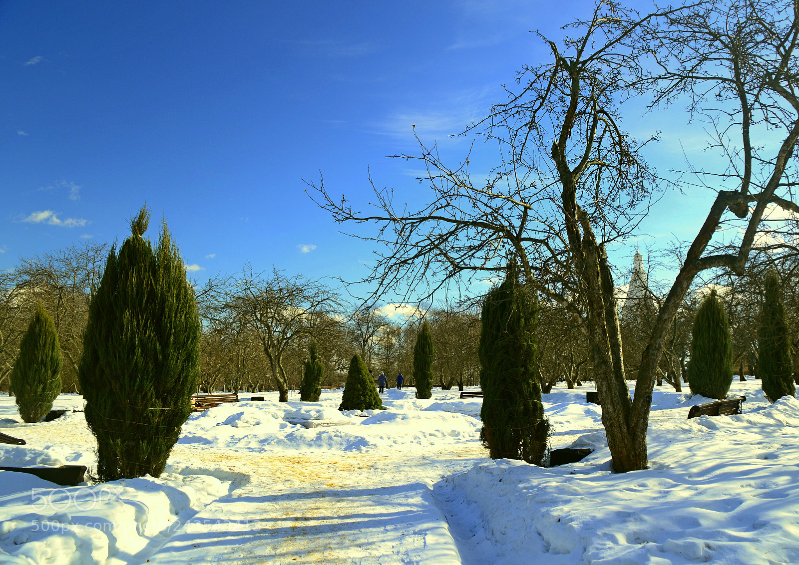 Nikon D7100 sample photo. Winter photography