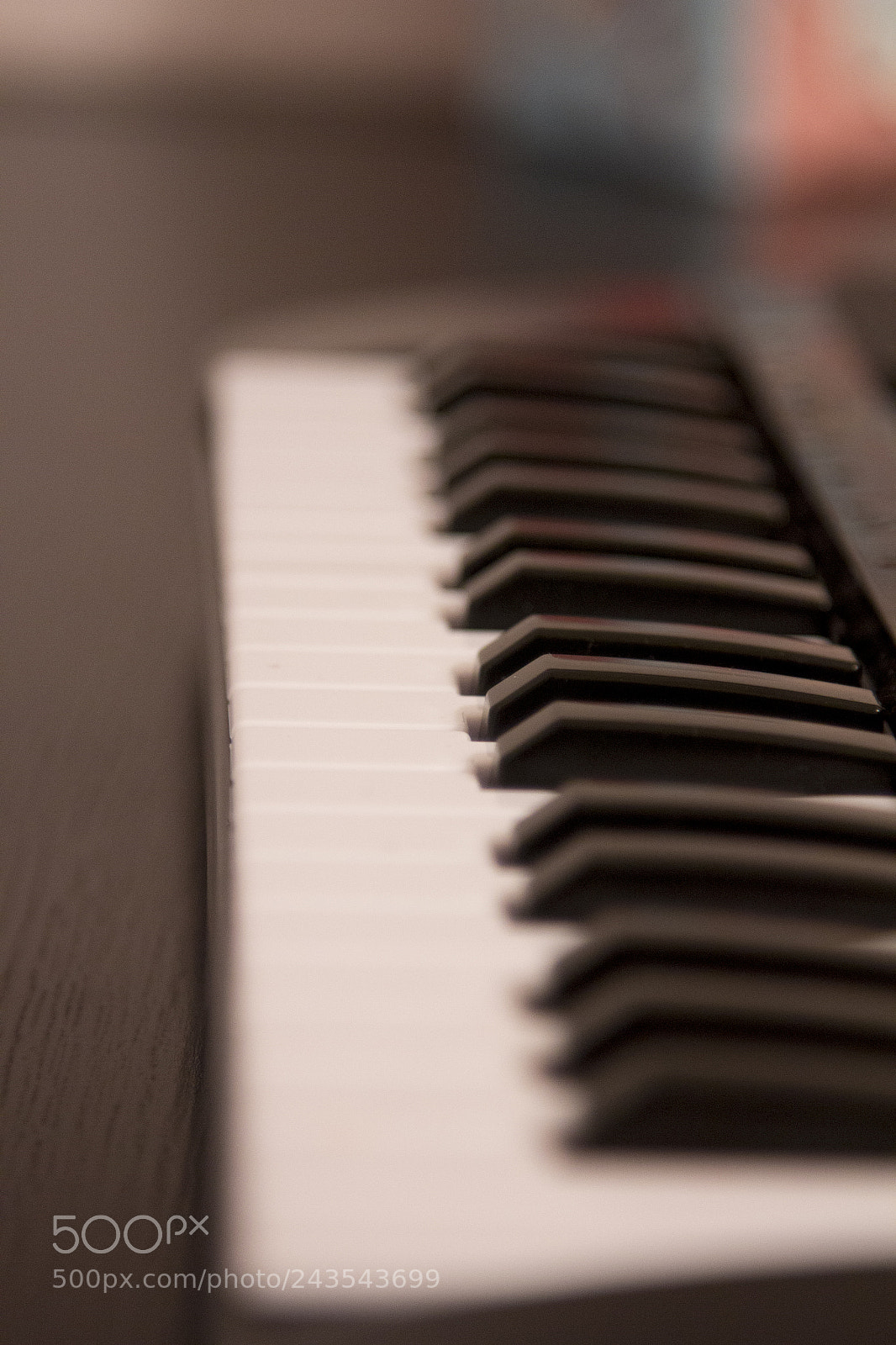 Canon EOS 60D sample photo. Keyboard photography