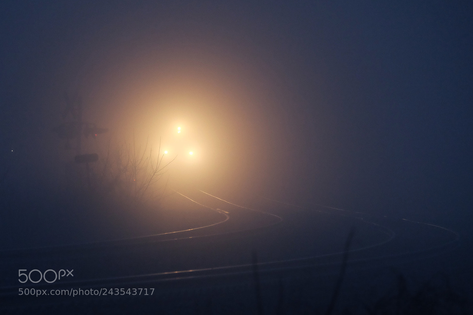 Fujifilm X-T10 sample photo. Train passing through photography