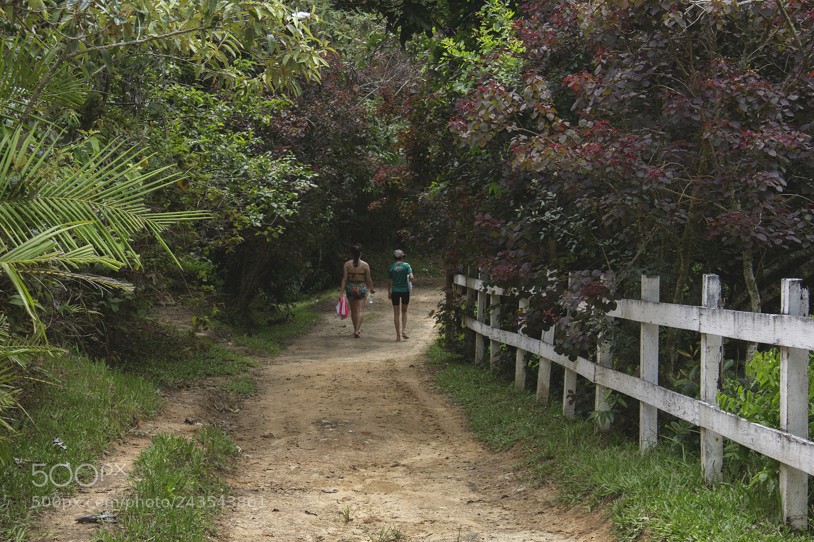 Canon EOS 60D sample photo. Summer photography