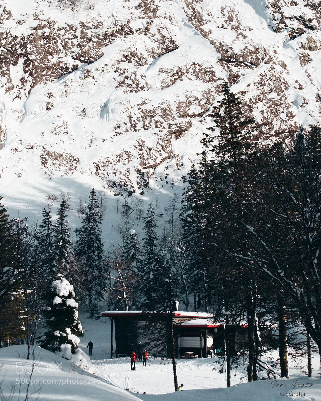 Nikon D5000 sample photo. A sweet hidden cabin photography