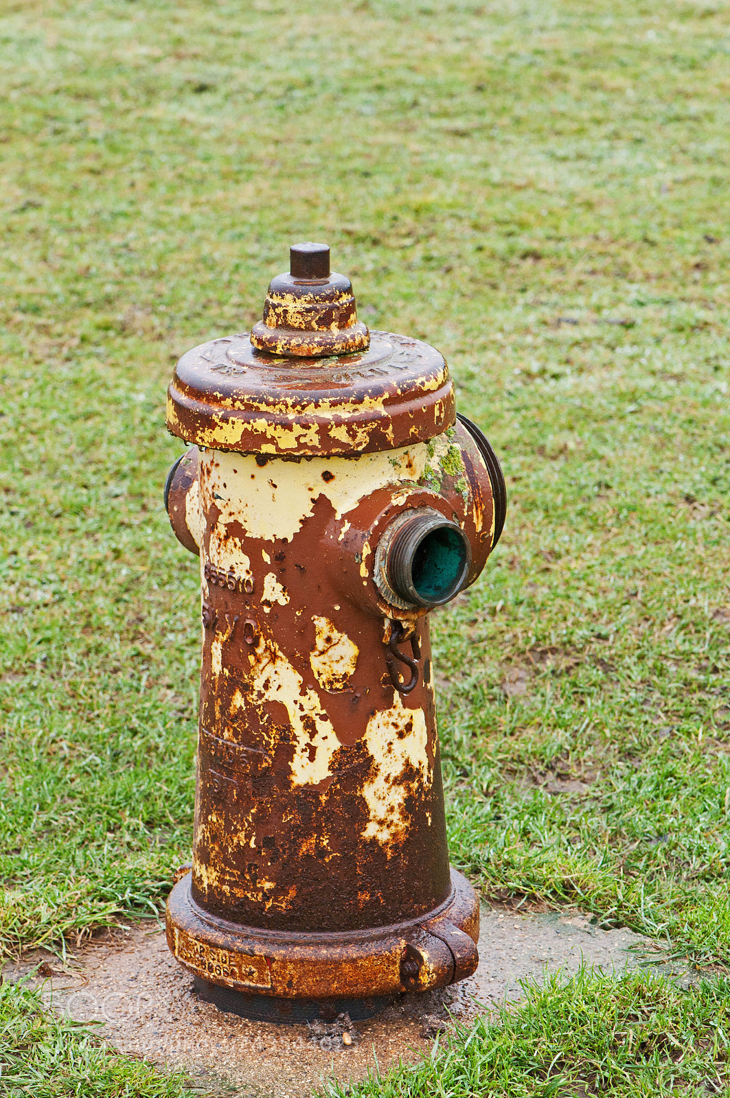 Nikon D90 sample photo. Greenham & crookham common photography