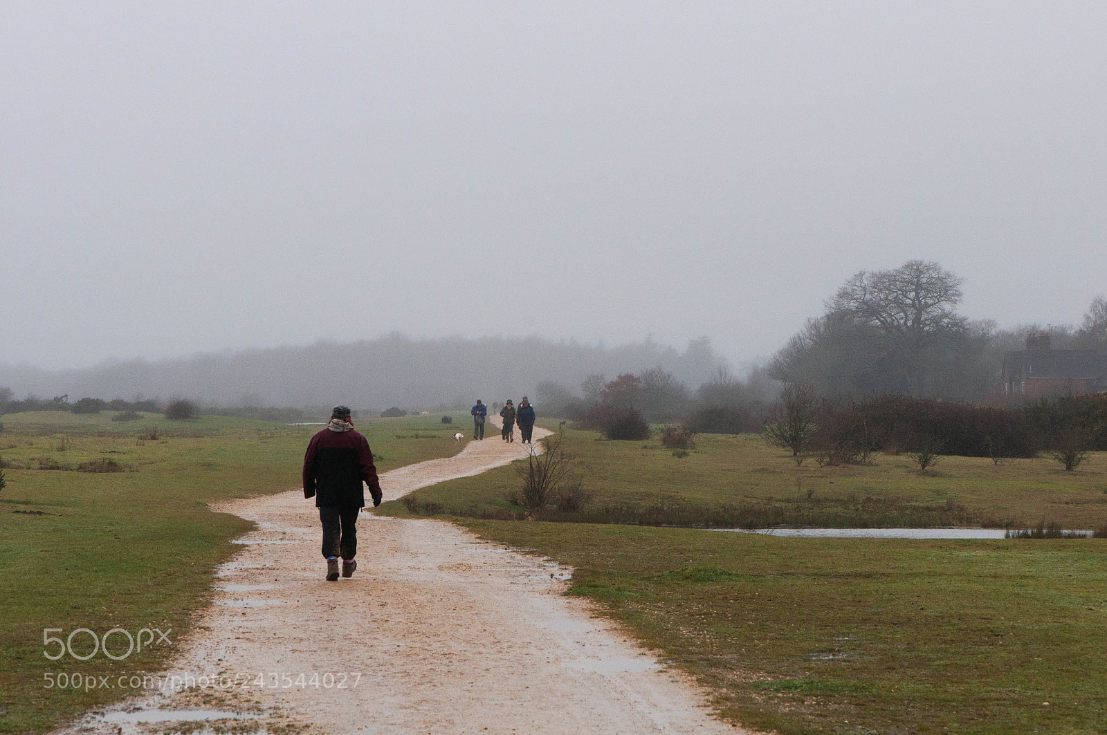 Nikon D90 sample photo. Greenham & crookham common photography