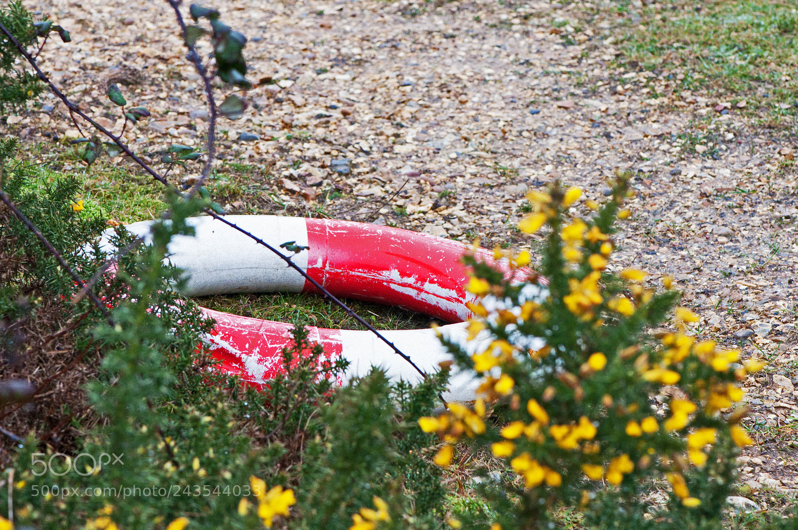 Nikon D90 sample photo. Greenham & crookham common photography