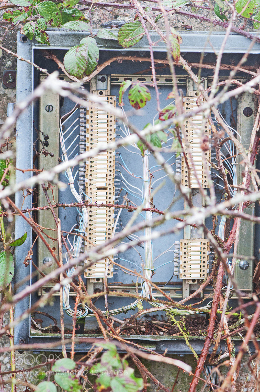 Nikon D90 sample photo. Greenham & crookham common photography