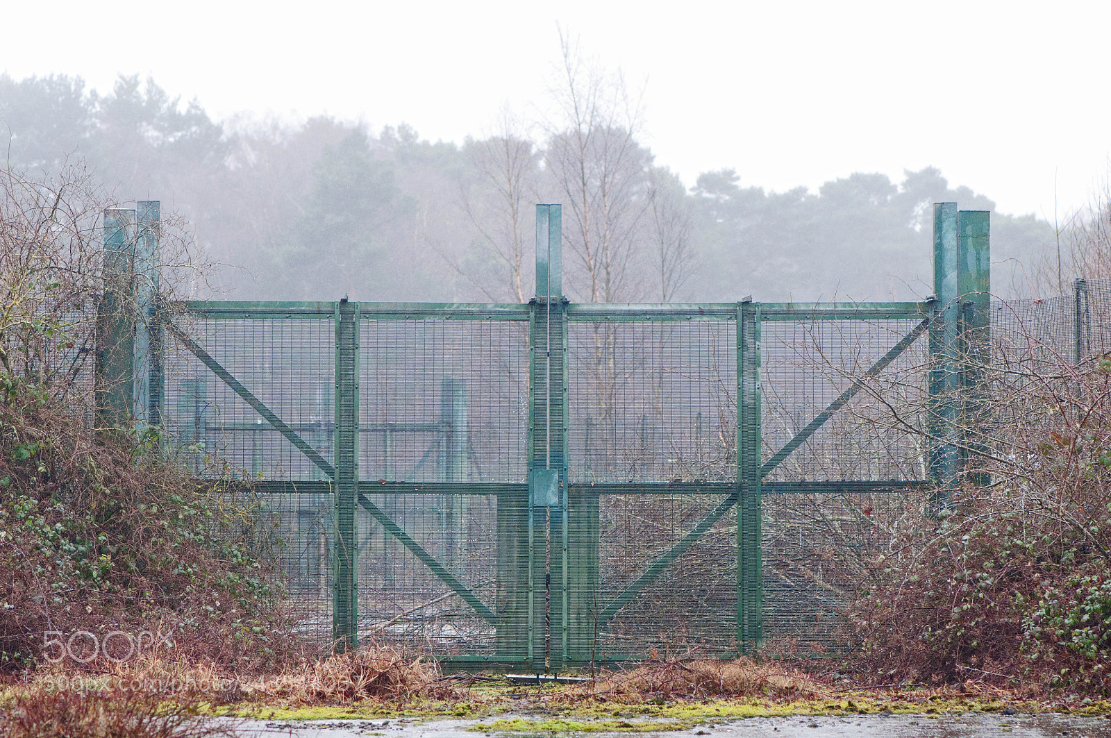Nikon D90 sample photo. Greenham & crookham common photography