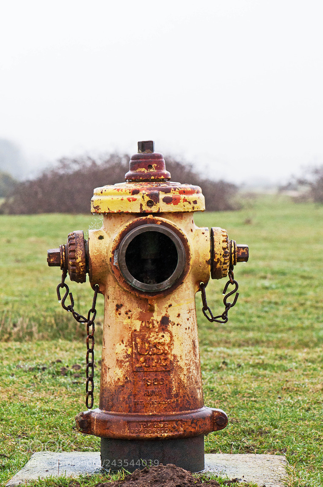 Nikon D90 sample photo. Greenham & crookham common photography
