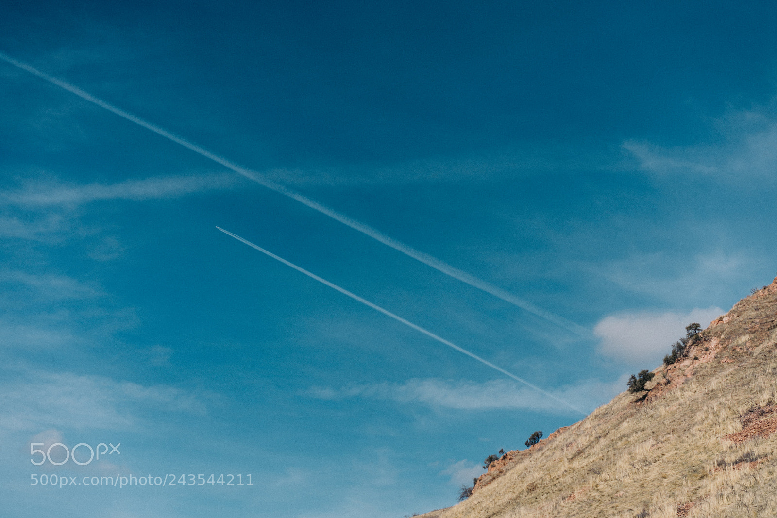 Sony a7R II sample photo. Fly away photography