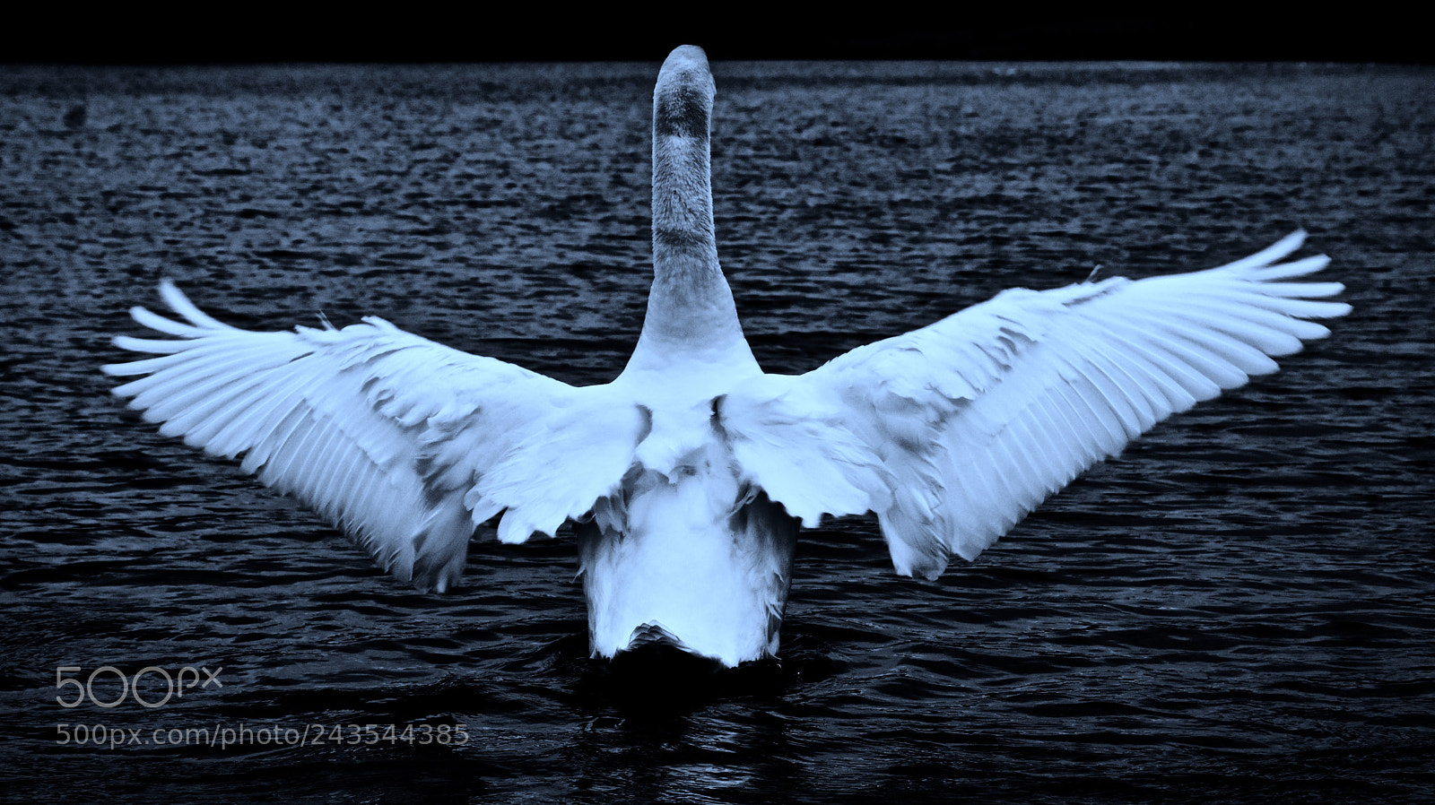Nikon D7200 sample photo. Take off photography