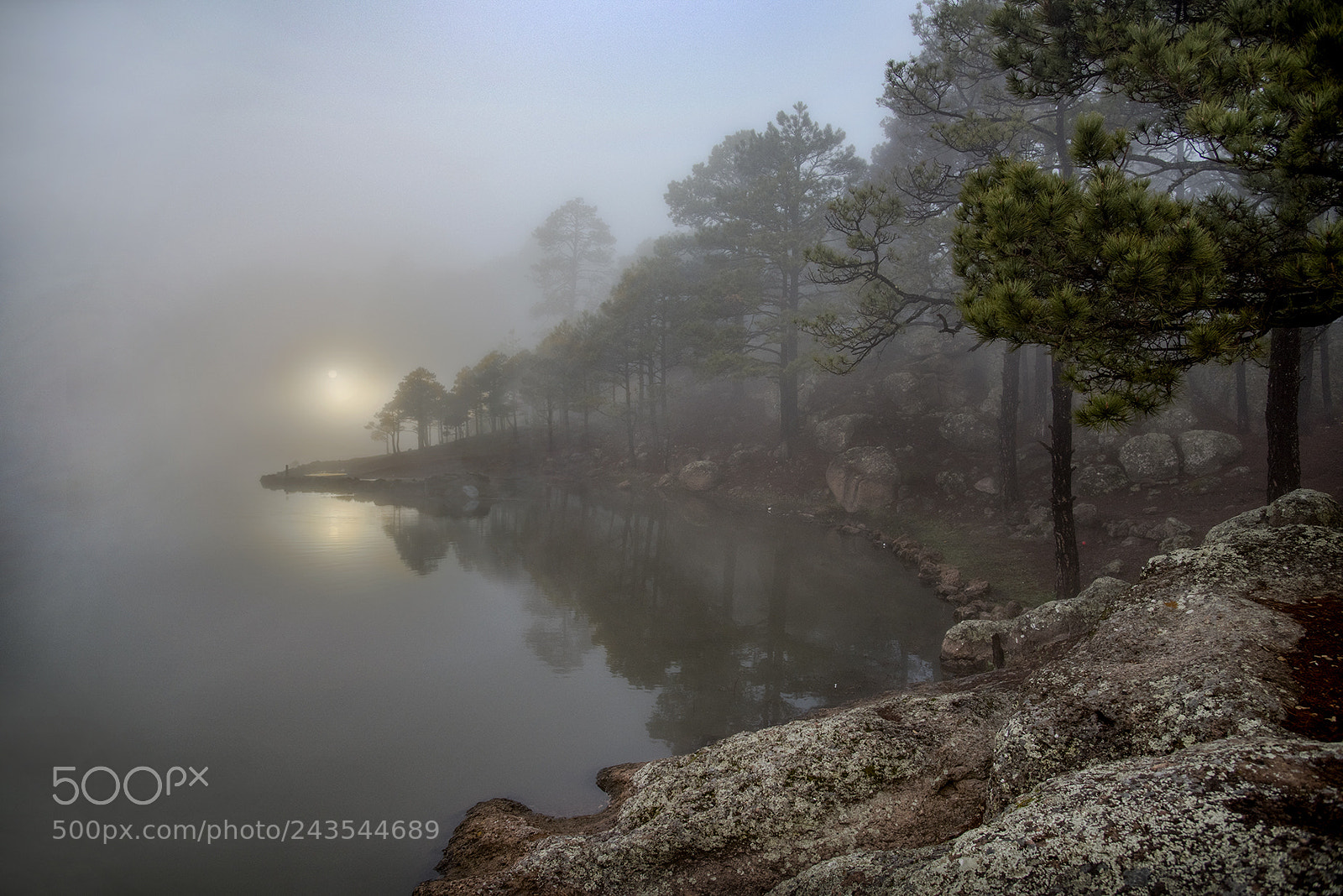 Nikon D810 sample photo. Puzzler photography