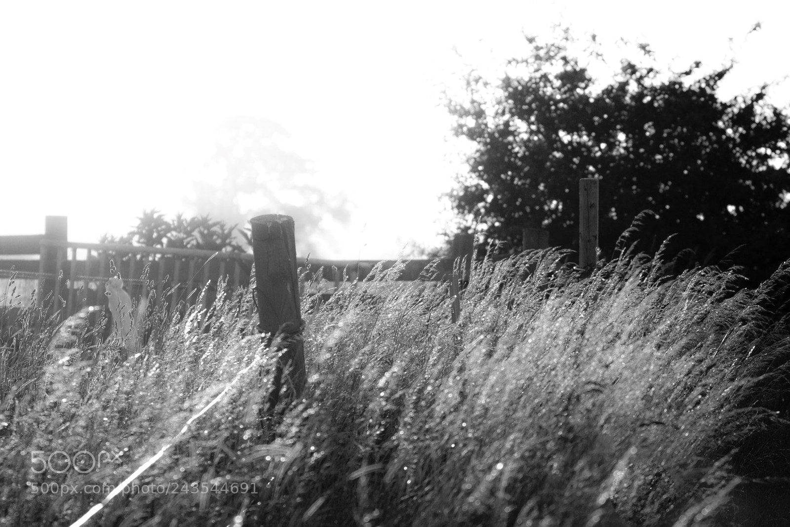 Canon EOS 7D Mark II sample photo. This is summer! photography