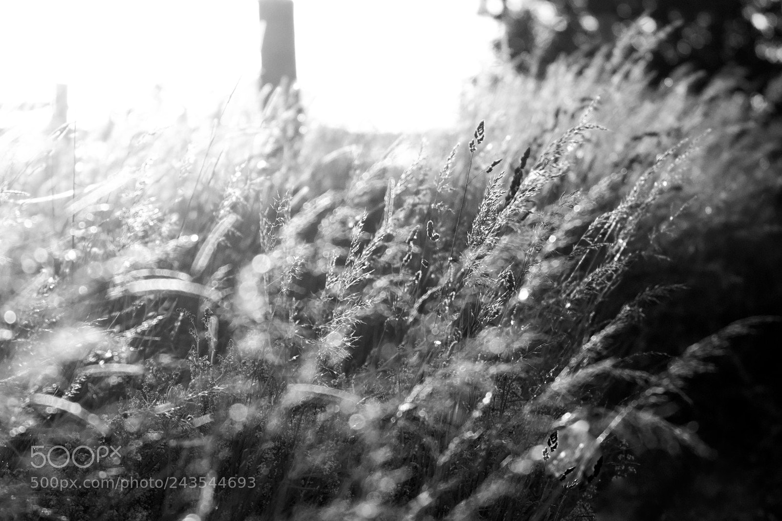 Canon EOS 7D Mark II sample photo. This is summer!!! photography