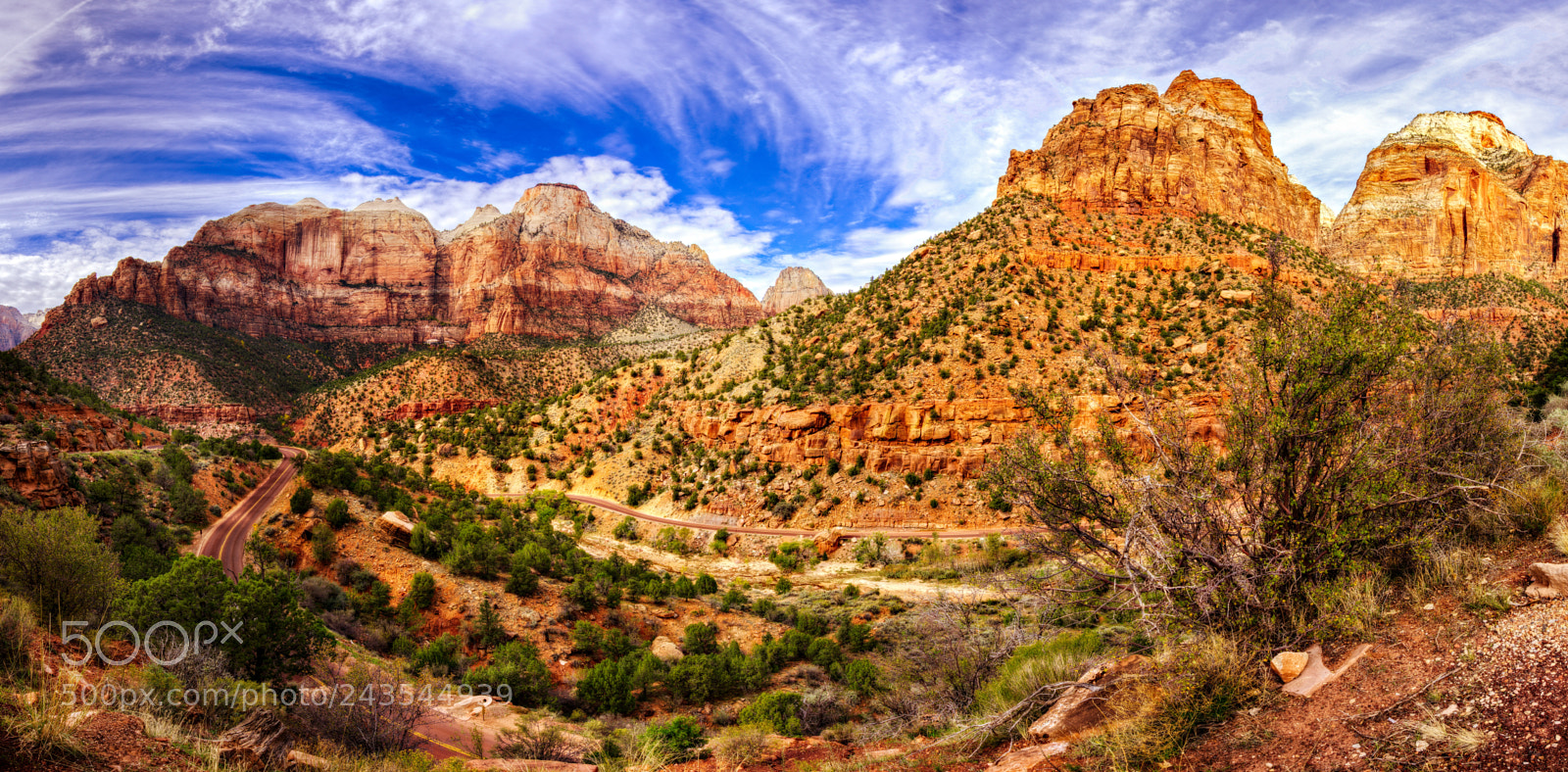 Nikon D810 sample photo. Zion national park photography