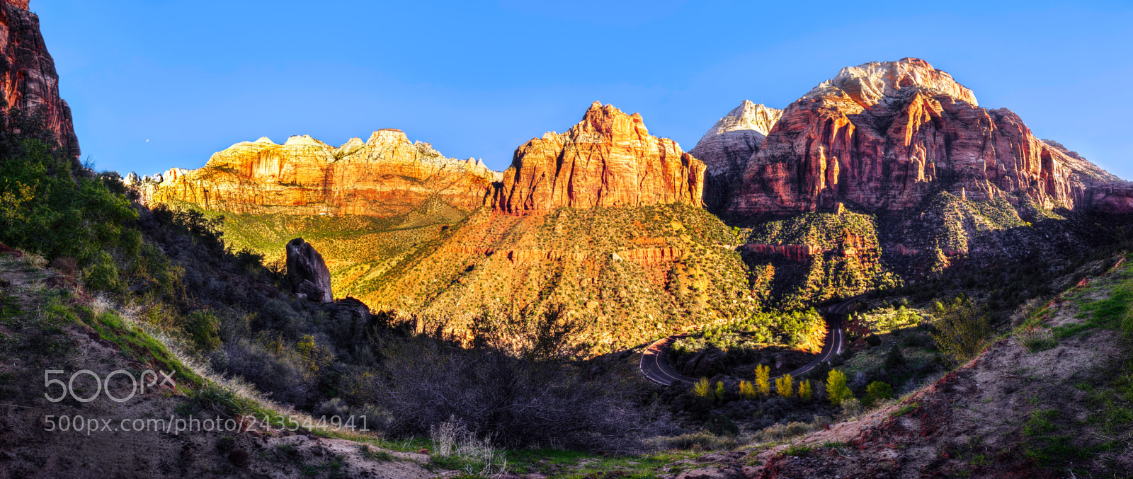 Nikon D810 sample photo. Zion national park photography