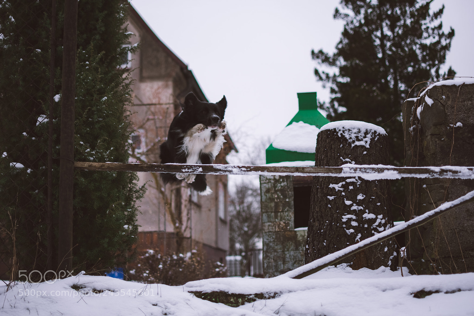 Nikon D3400 sample photo. Practice makes perfect photography
