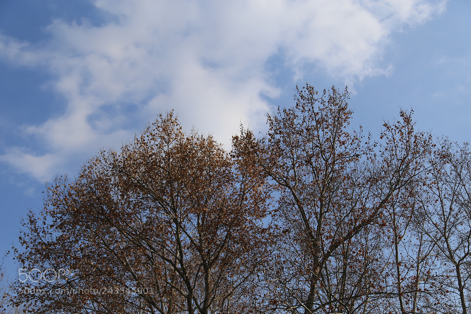 Canon EOS 6D + Canon EF 24-105mm F4L IS USM sample photo. Winter, with good weather photography