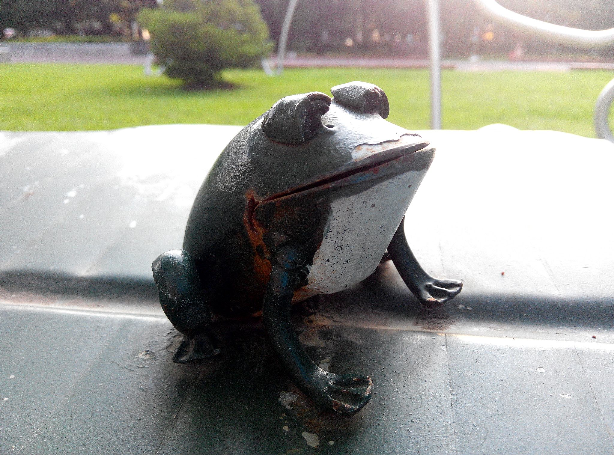 Xiaomi HM NOTE sample photo. Frog photography
