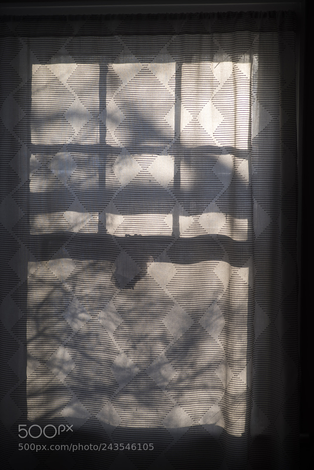 Pentax K-1 sample photo. Morning curtain 3 photography