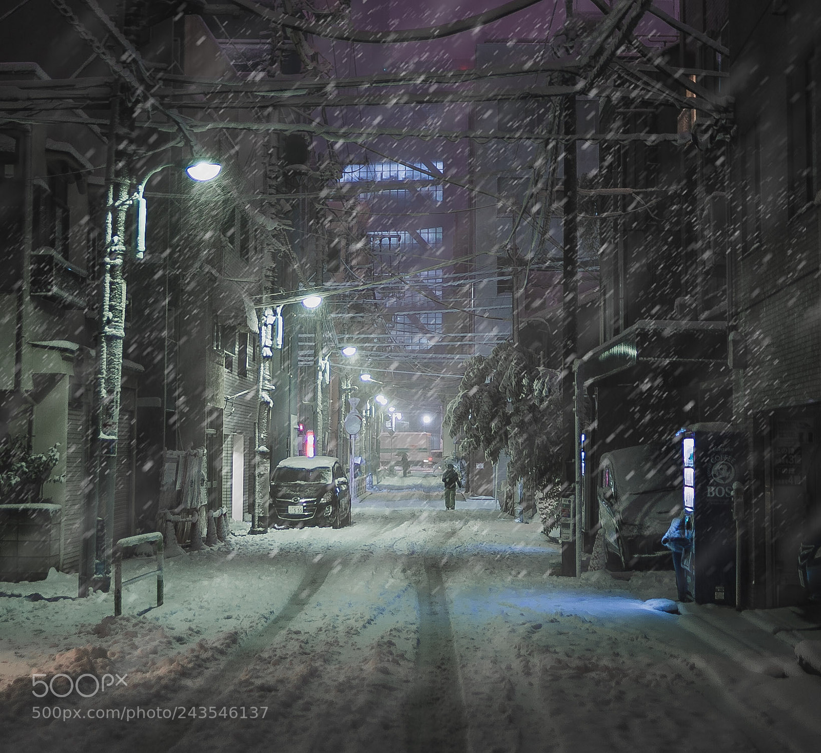 Sony a7S II sample photo. Into the snow photography