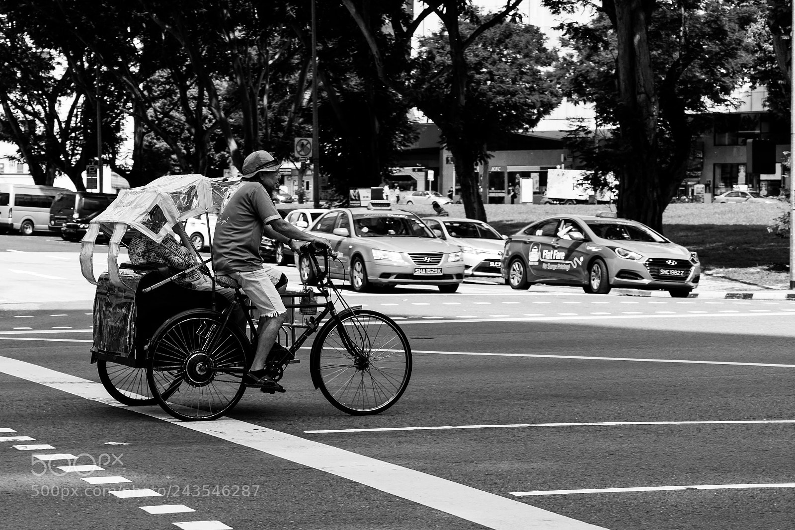 Sony a7 II sample photo. Untitled photography
