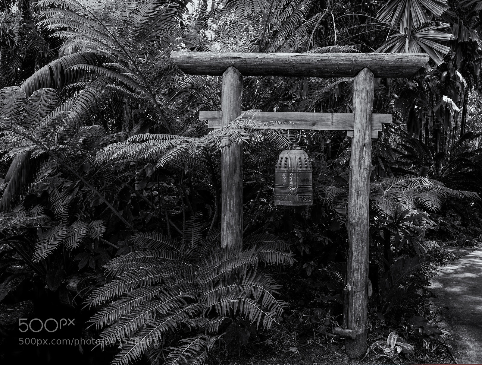 Hasselblad X1D-50c sample photo. Japanese bell, tropical foliage photography