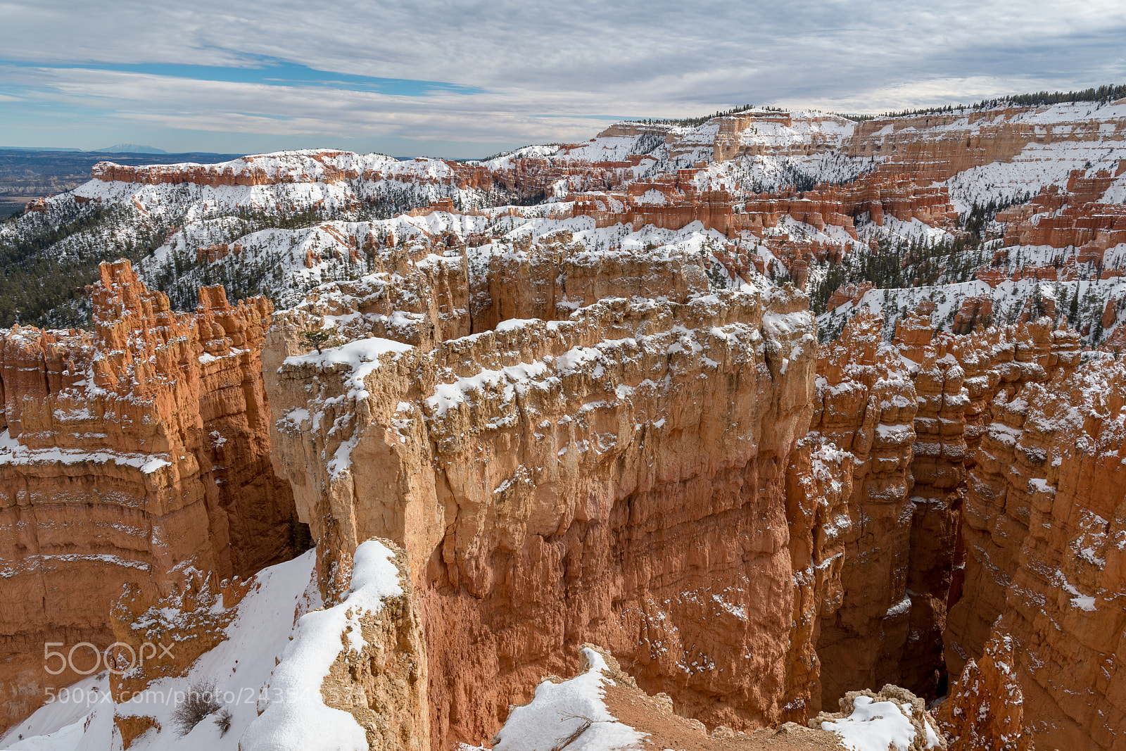 Nikon D850 sample photo. Bryce canyon in snow photography