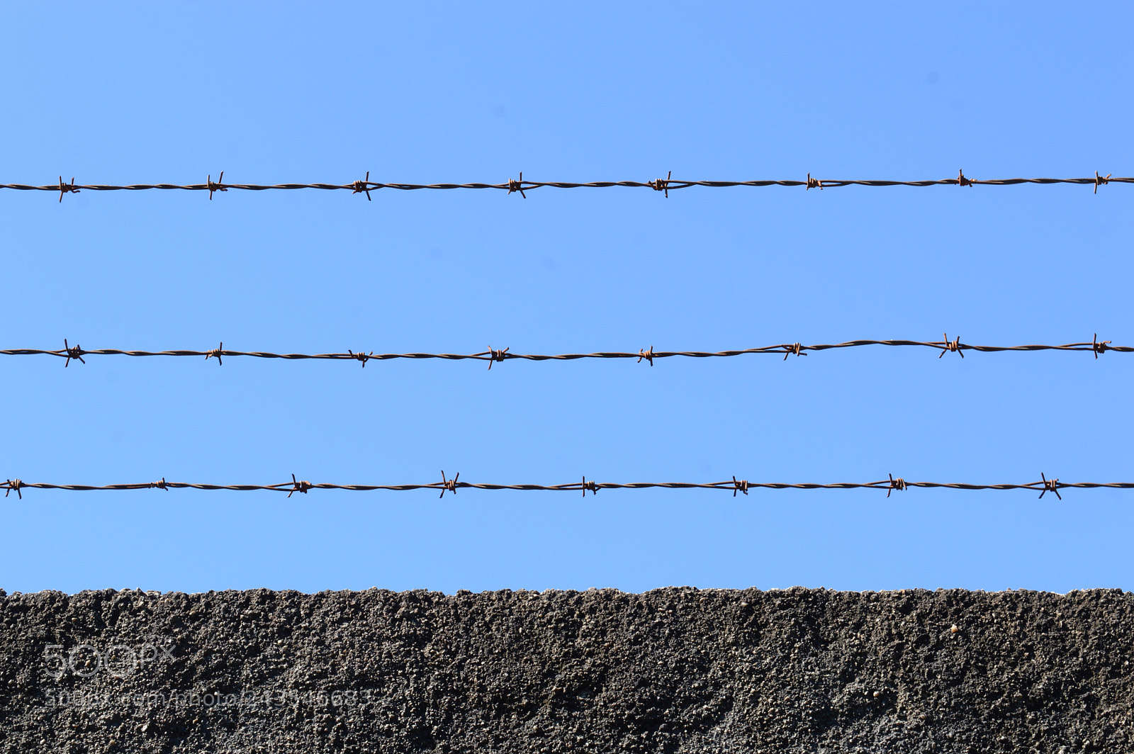 Nikon D3200 sample photo. Untitled photography