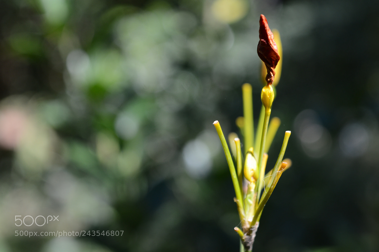 Nikon D3200 sample photo. Untitled photography