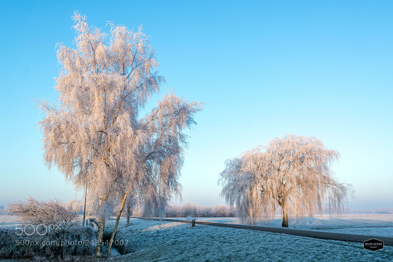 Nikon D7100 sample photo. Cold,........ betuwe photography