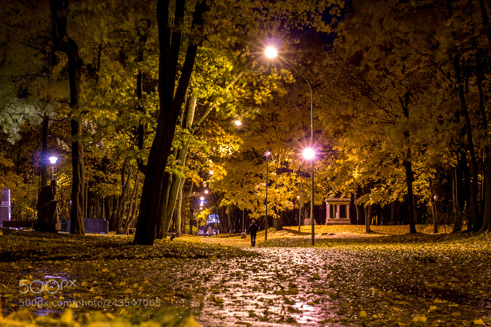 Canon EOS 1100D (EOS Rebel T3 / EOS Kiss X50) sample photo. Park at night photography