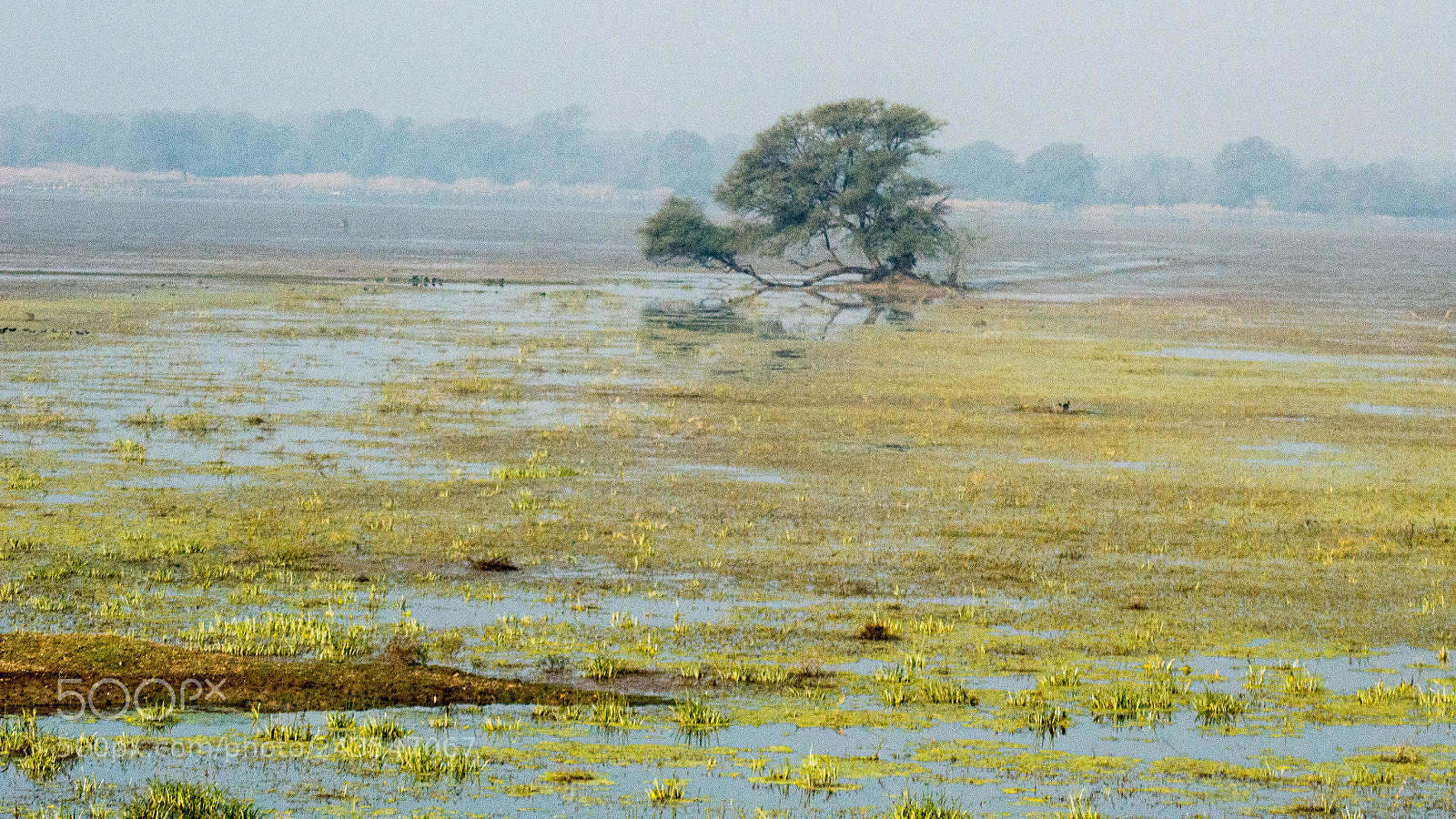 Nikon D3200 sample photo. Landscape photography
