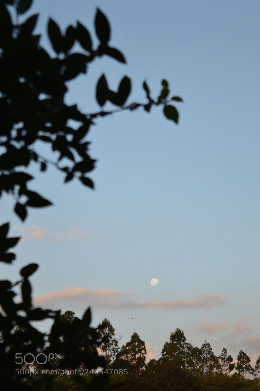 Nikon D3200 sample photo. Untitled photography