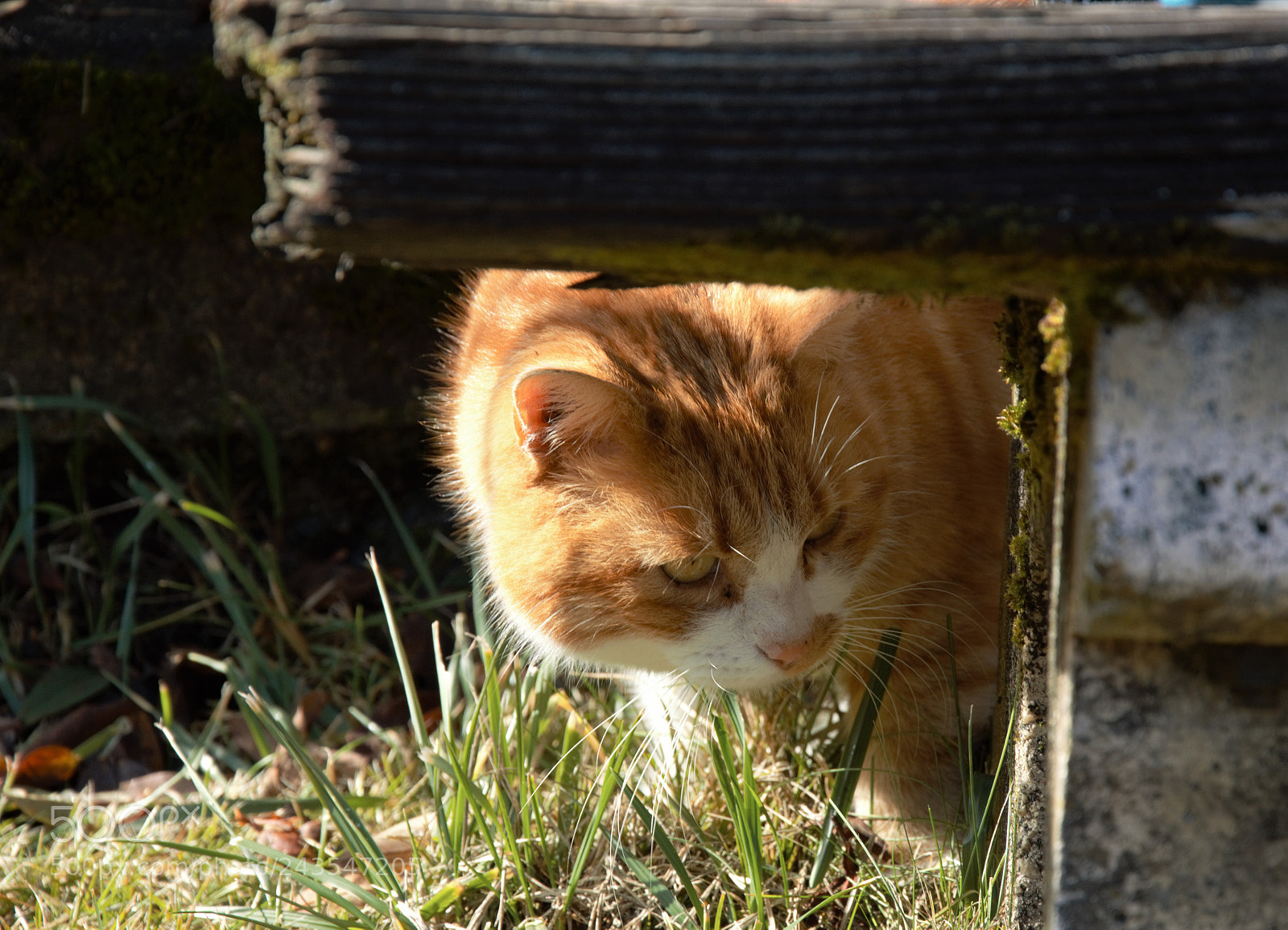 Nikon D3200 sample photo. Untitled photography