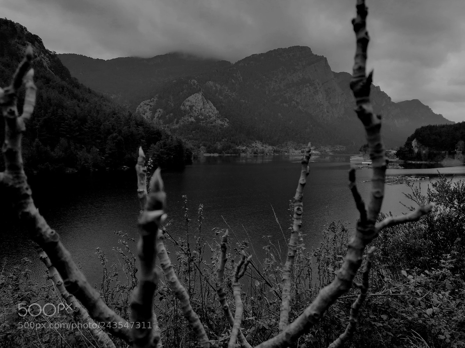 HUAWEI P10 lite sample photo. Bw photography