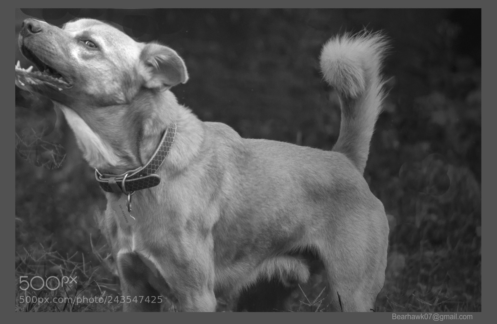 Nikon D7200 sample photo. 143.jpg photography