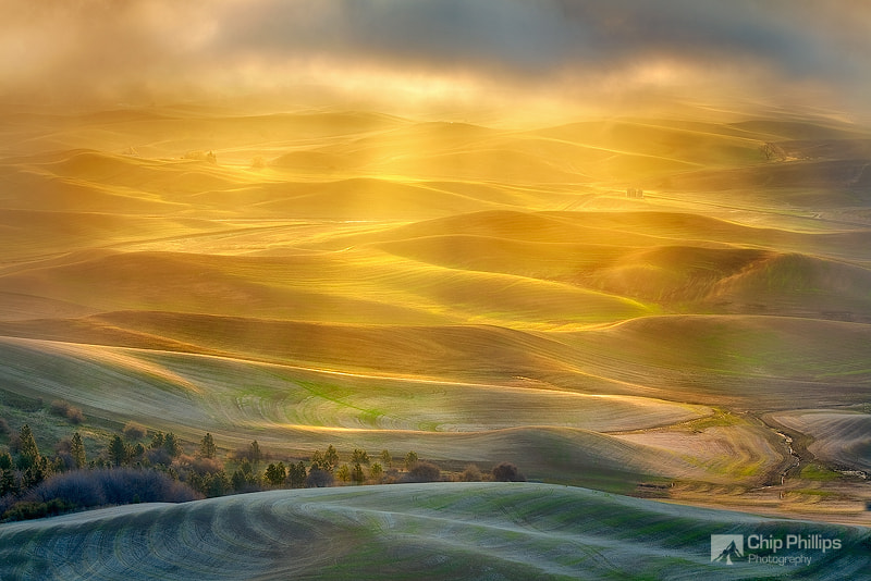 Golden Light Palouse by Chip Phillips / 500px