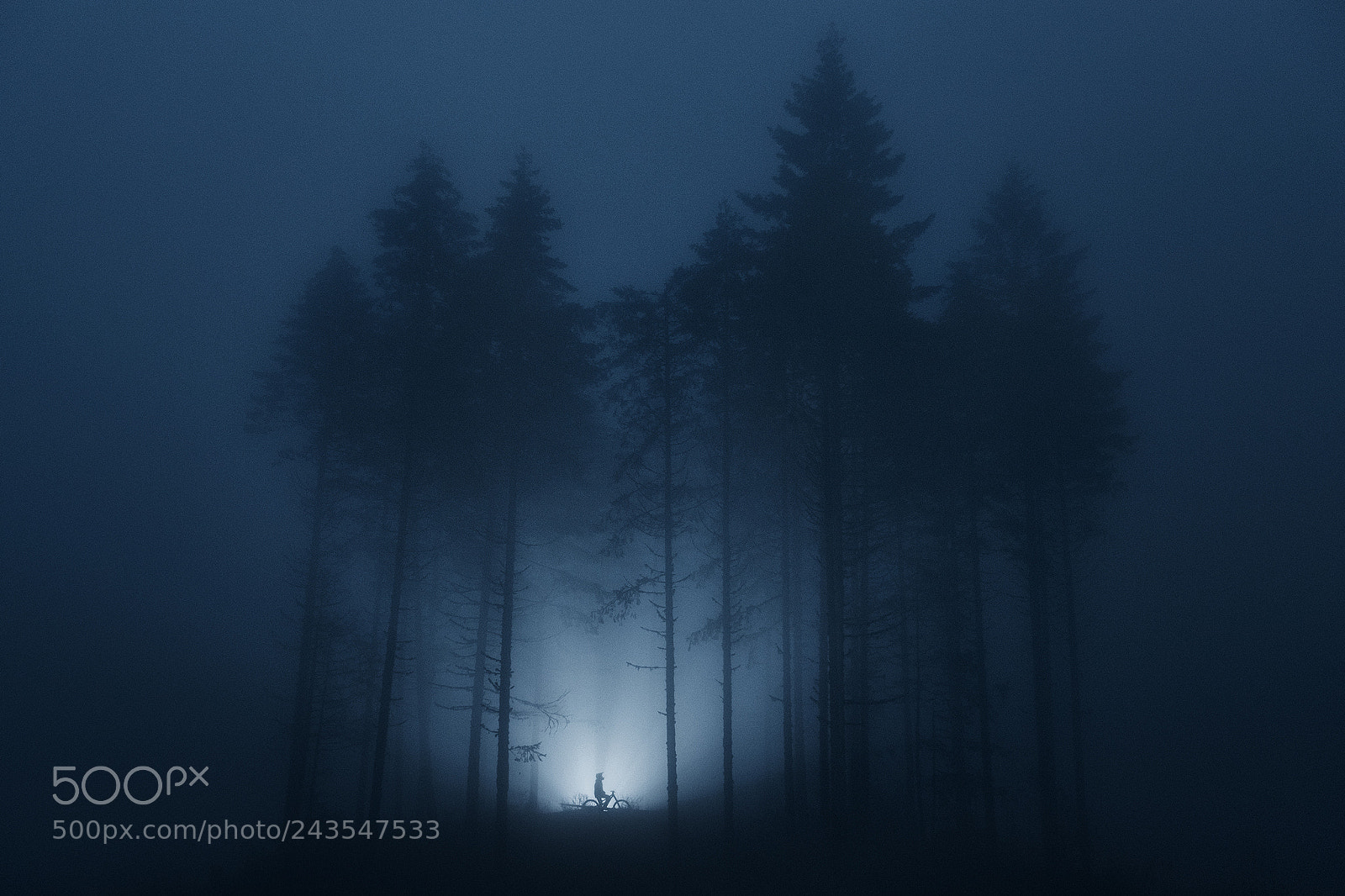 Canon EOS-1D X Mark II sample photo. Vancouver island photography