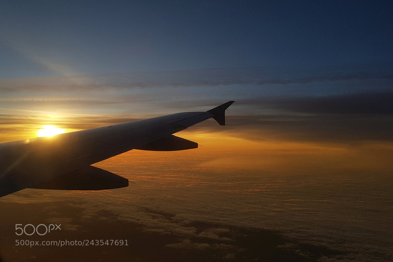 Samsung Galaxy S8+ sample photo. Up up and away photography