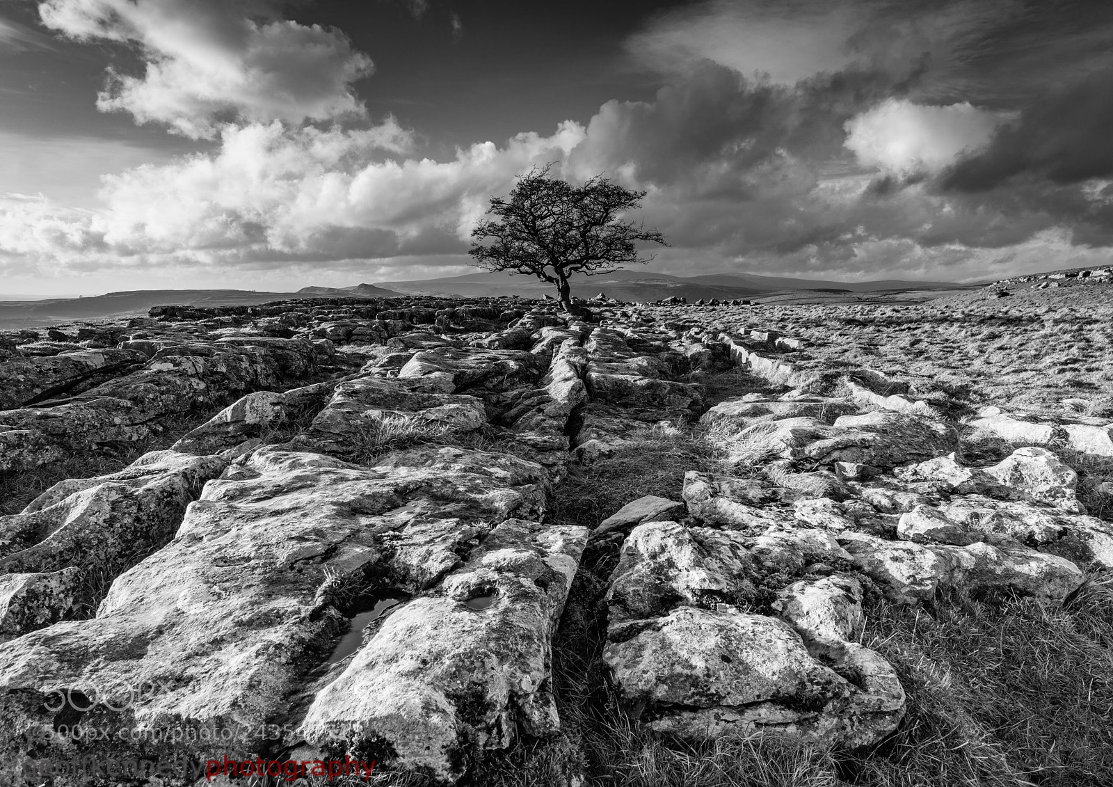 Nikon D800 sample photo. Black and white stones photography