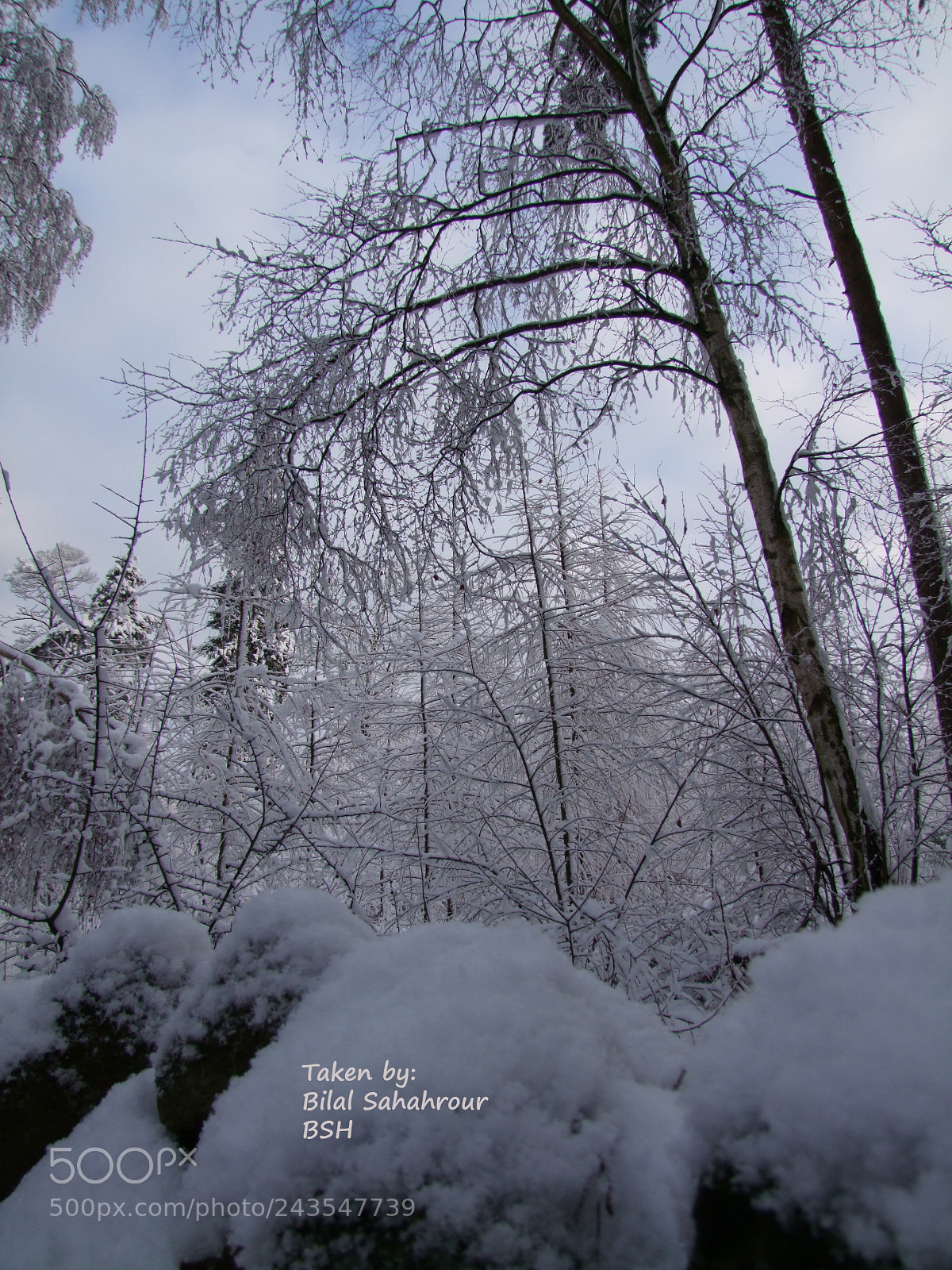Fujifilm FinePix S100fs sample photo. Snow photography