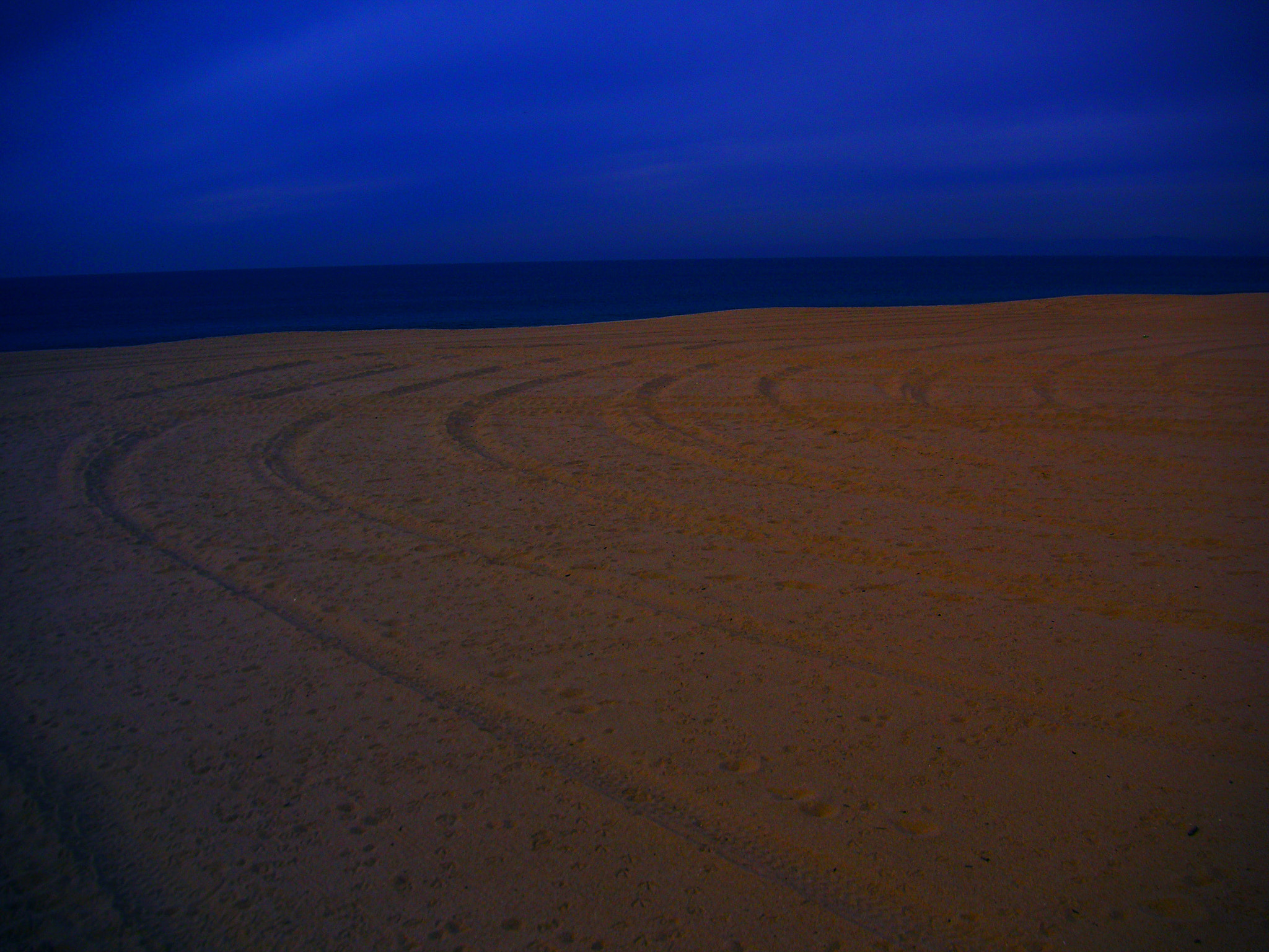 KONICA MINOLTA DiMAGE X50 sample photo. Huellas en la playa photography