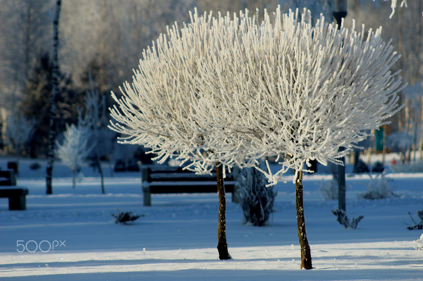 Canon EF 75-300mm f/4-5.6 USM sample photo. Mg photography