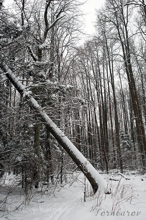 Canon EOS 5D sample photo. Img photography