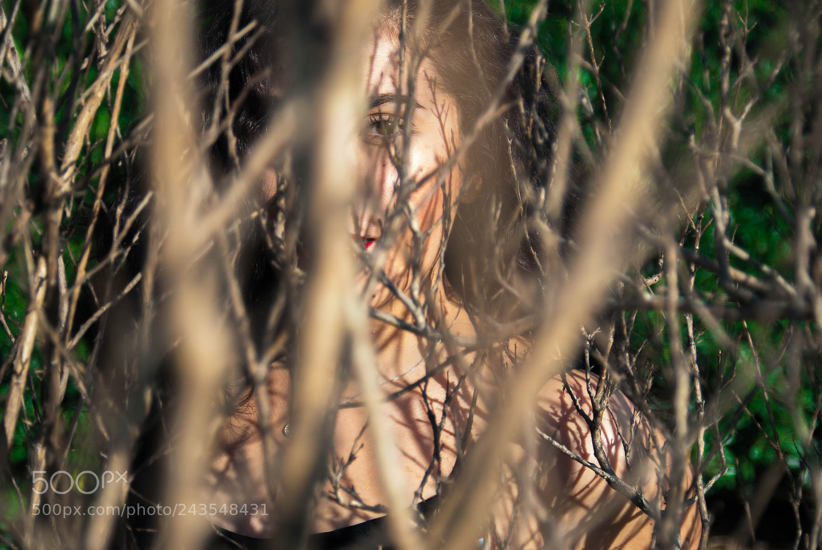 Nikon D200 sample photo. Untitled photography
