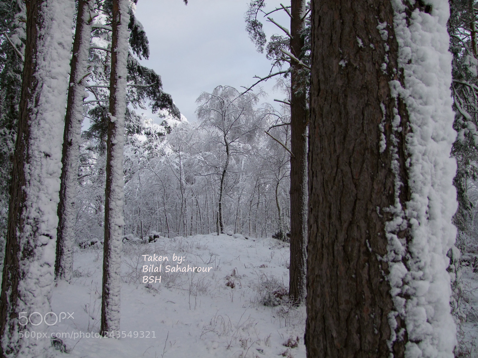 Fujifilm FinePix S100fs sample photo. Snow photography